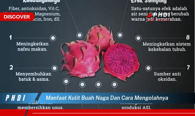 manfaat kulit buah naga dan cara mengolahnya