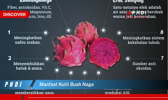 manfaat kulit buah naga