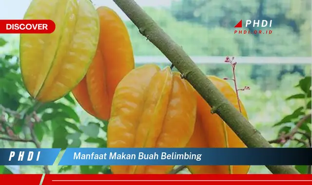 manfaat makan buah belimbing