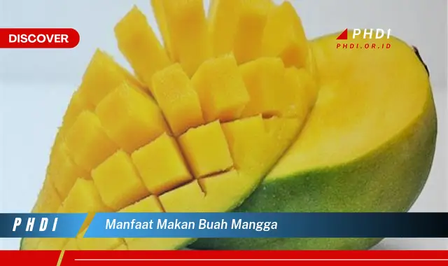 manfaat makan buah mangga