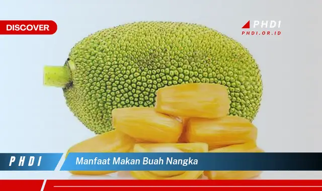 manfaat makan buah nangka