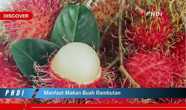 manfaat makan buah rambutan