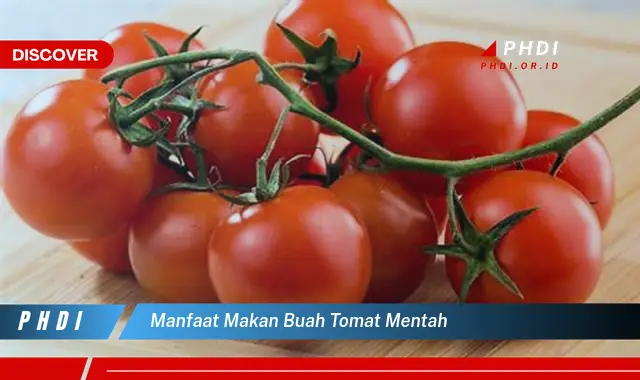 manfaat makan buah tomat mentah