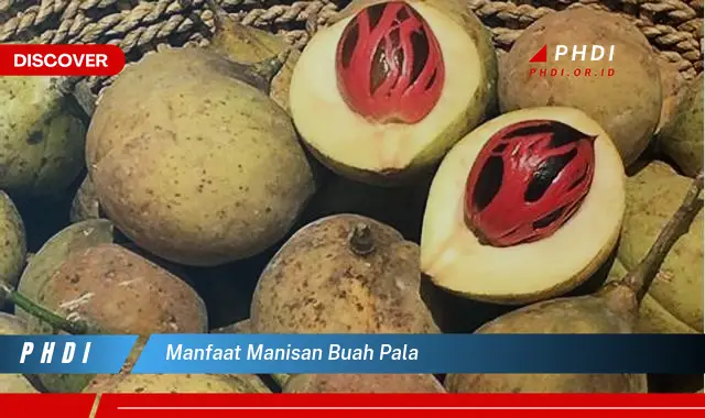 manfaat manisan buah pala