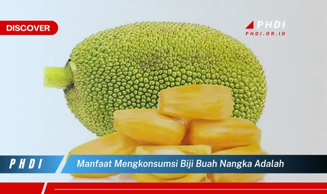 manfaat mengkonsumsi biji buah nangka adalah