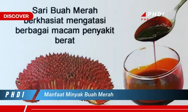 manfaat minyak buah merah