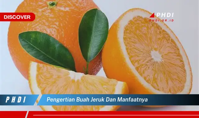 pengertian buah jeruk dan manfaatnya