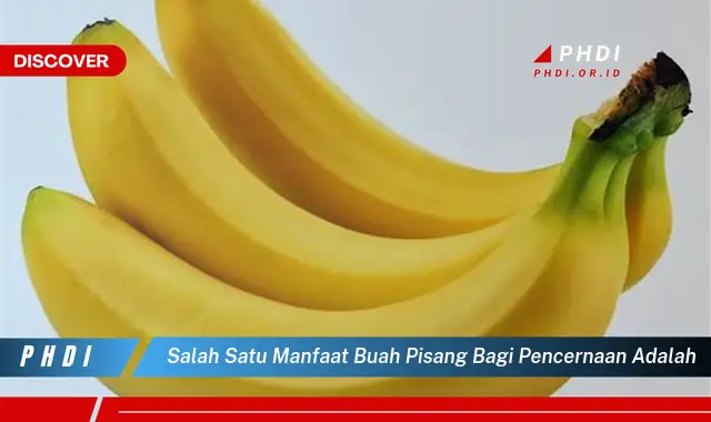 salah satu manfaat buah pisang bagi pencernaan adalah