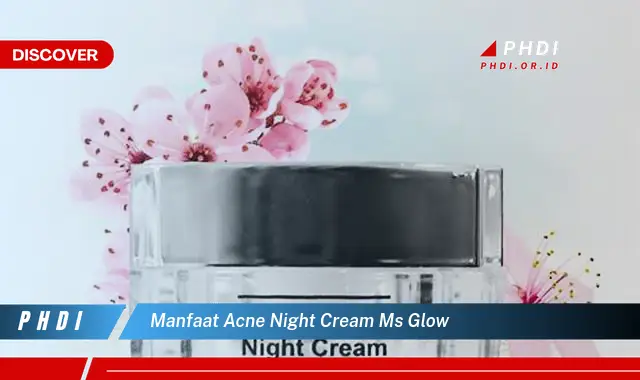 manfaat acne night cream ms glow