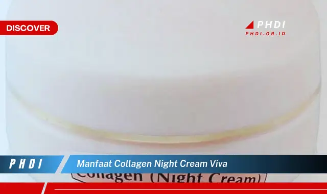 manfaat collagen night cream viva