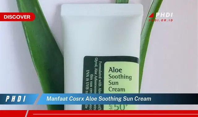 Temukan 7 Manfaat Rahasia Cosrx Aloe Soothing Sun Cream yang Jarang Diketahui