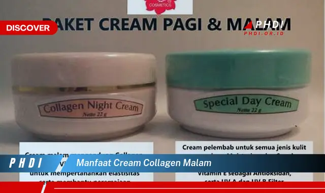 manfaat cream collagen malam