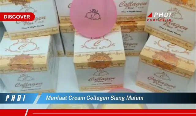 manfaat cream collagen siang malam