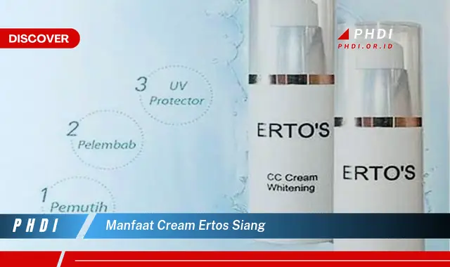 manfaat cream ertos siang