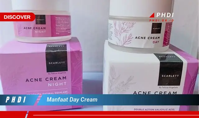 manfaat day cream