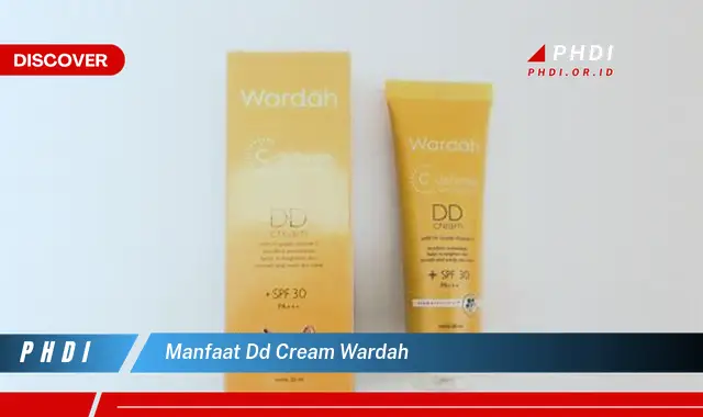 manfaat dd cream wardah