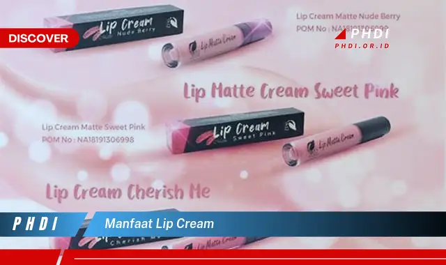 manfaat lip cream