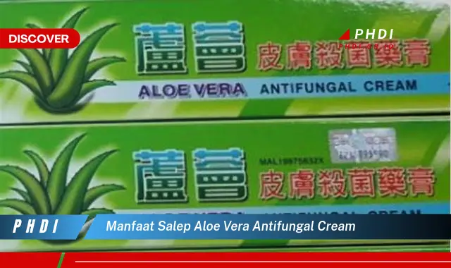 manfaat salep aloe vera antifungal cream