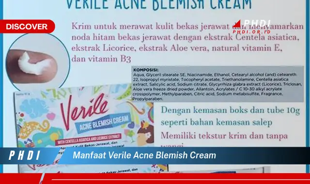 Ketahui 7 Manfaat Verile Acne Blemish Cream yang Wajib Kamu Intip