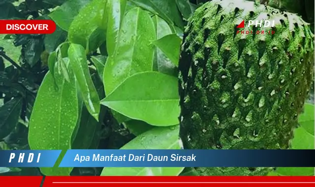 apa manfaat dari daun sirsak