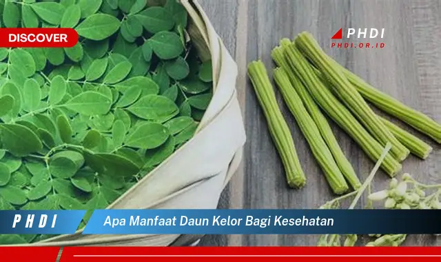 apa manfaat daun kelor bagi kesehatan