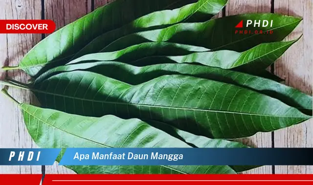 apa manfaat daun mangga