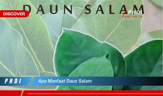 apa manfaat daun salam