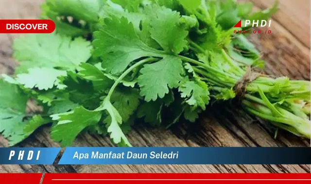 apa manfaat daun seledri