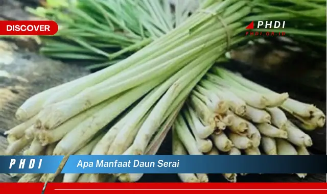 Temukan Manfaat Daun Serai Yang Jarang Diketahui