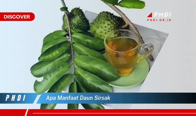 apa manfaat daun sirsak