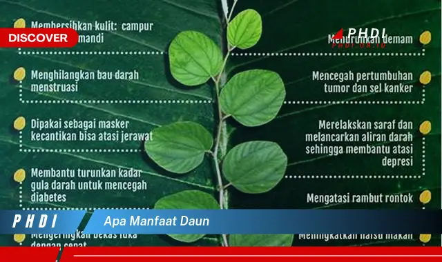 apa manfaat daun