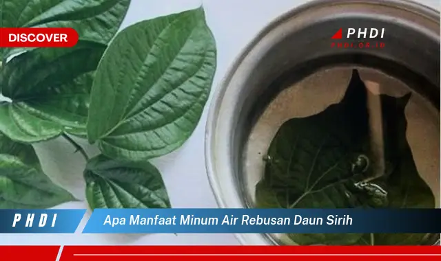 apa manfaat minum air rebusan daun sirih