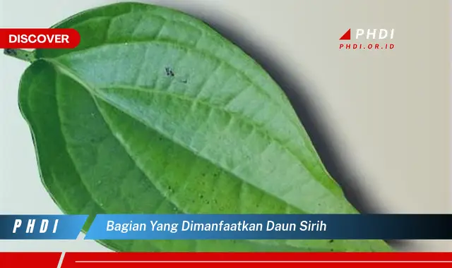 bagian yang dimanfaatkan daun sirih