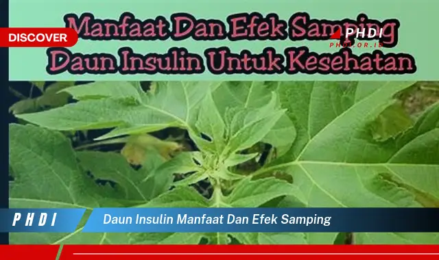 daun insulin manfaat dan efek samping