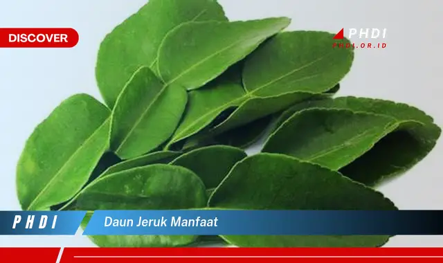 daun jeruk manfaat