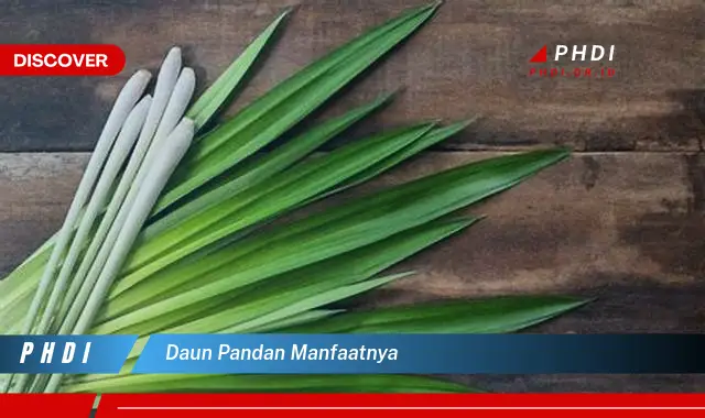 Ketahui 7 Manfaat Daun Pandan yang Bikin Kamu Penasaran