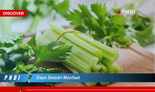 daun seledri manfaat