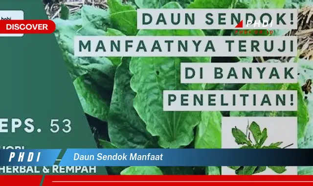 daun sendok manfaat