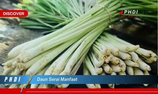 daun serai manfaat