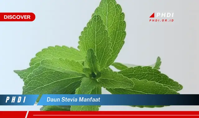 daun stevia manfaat