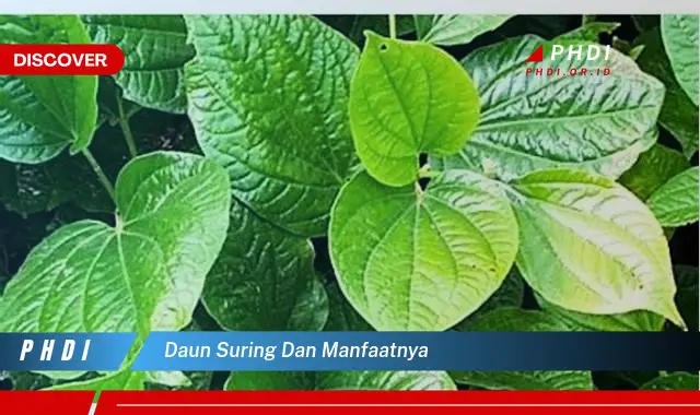 daun suring dan manfaatnya