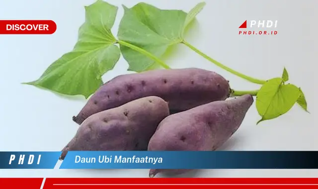 daun ubi manfaatnya