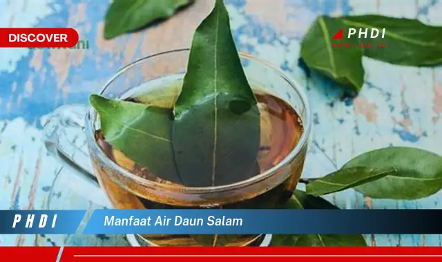 manfaat air daun salam