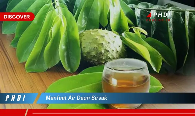 manfaat air daun sirsak