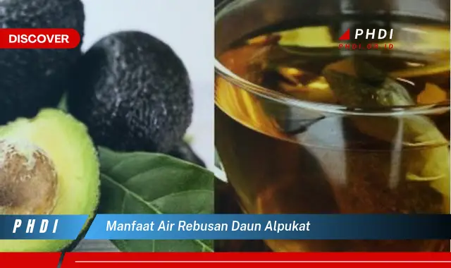 manfaat air rebusan daun alpukat