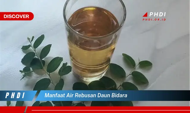 manfaat air rebusan daun bidara