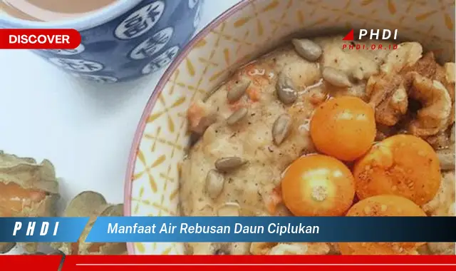 manfaat air rebusan daun ciplukan