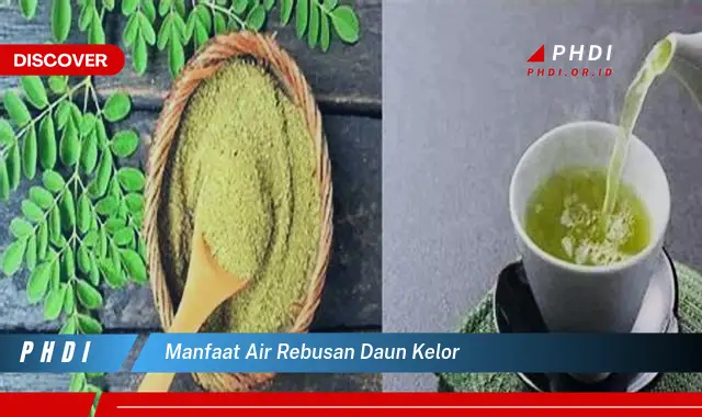 manfaat air rebusan daun kelor