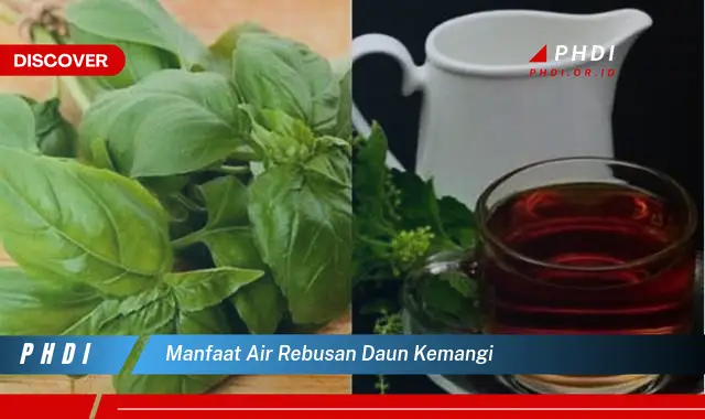 manfaat air rebusan daun kemangi