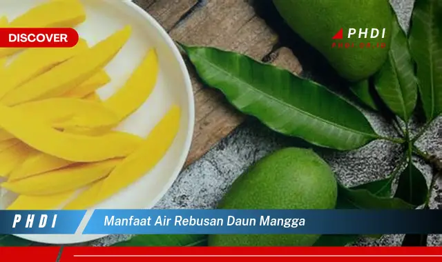 manfaat air rebusan daun mangga